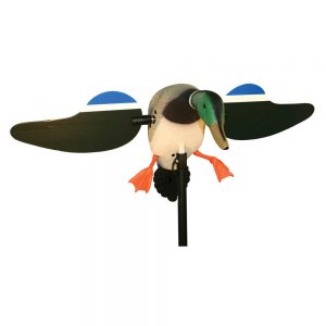 MALLARD DRAKE DECOY